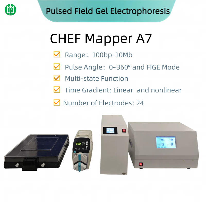 CHEF Mapper A7
