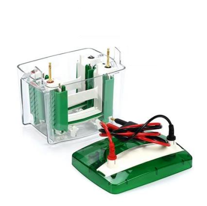 PAG4 預(yù)制膠垂直電泳槽 EPT-VPG04