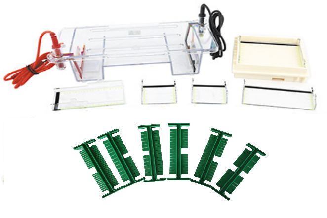 MIDI多用途水平透紫外電泳槽 EPT-HZ01T